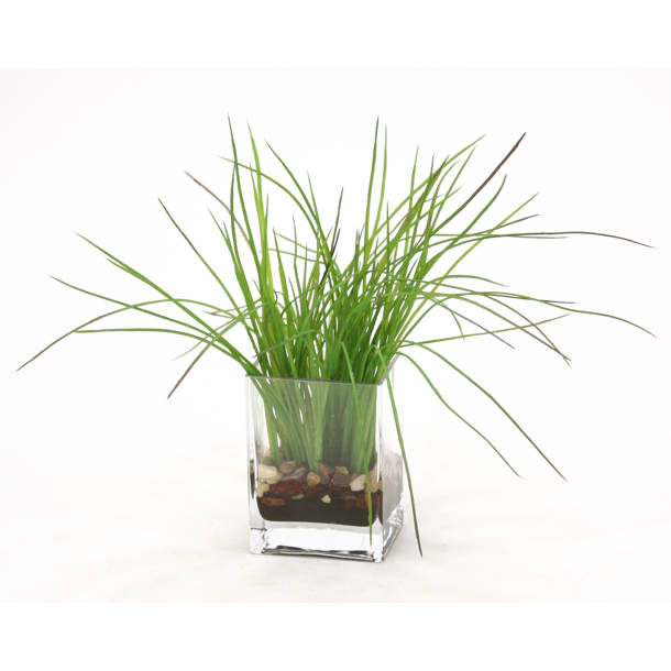 Highland Dunes 8'' Faux Vanilla Grass Grass in Glass Vase & Reviews
